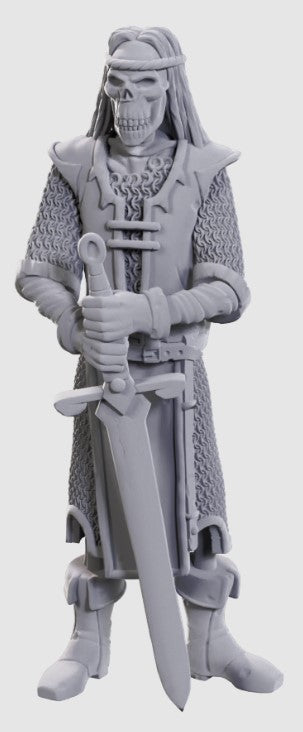Dungeons & Dragons Nolzur's Marvelous Unpainted Miniatures: Limited Edition 50th Anniversary — Skeleton Knights