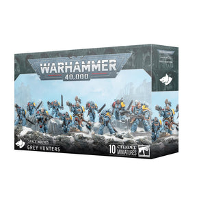 Warhammer 40,000 Space Wolves Grey Hunters miniatures box on a white background