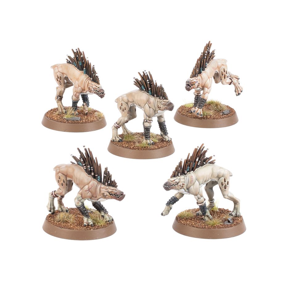 Tau Empire: Kroot Hounds