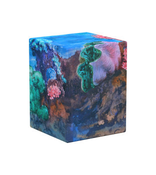 Deck Case: 100+ Coral Places
