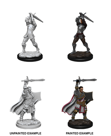 D&D Minis: Wave 12 - Male Human Paladin