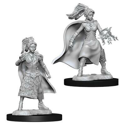 D&D Minis: Wave 10- Female Human Sorcerer