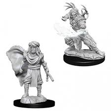 D&D Nolzur`s Unpainted Minis: Male Human Druid