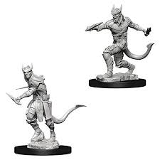 D&D Nolzur`s Unpainted Minis: Tiefling Male Rogue