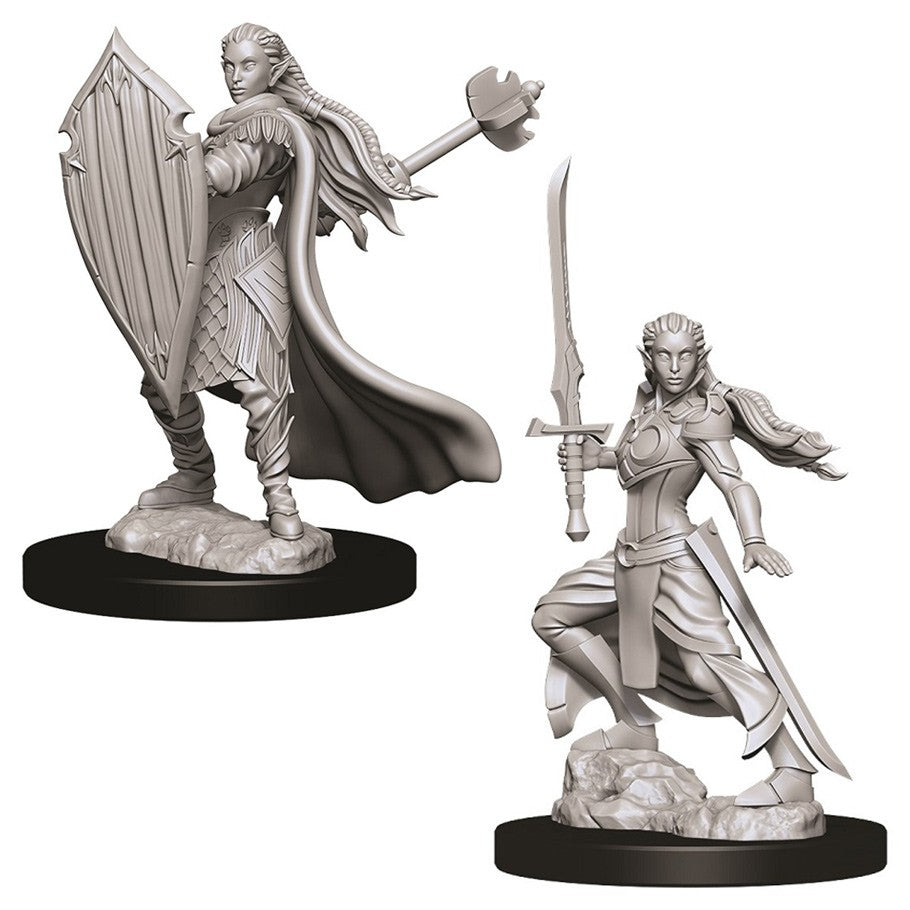 D&D Minis: Wave 9- Female Elf Paladin