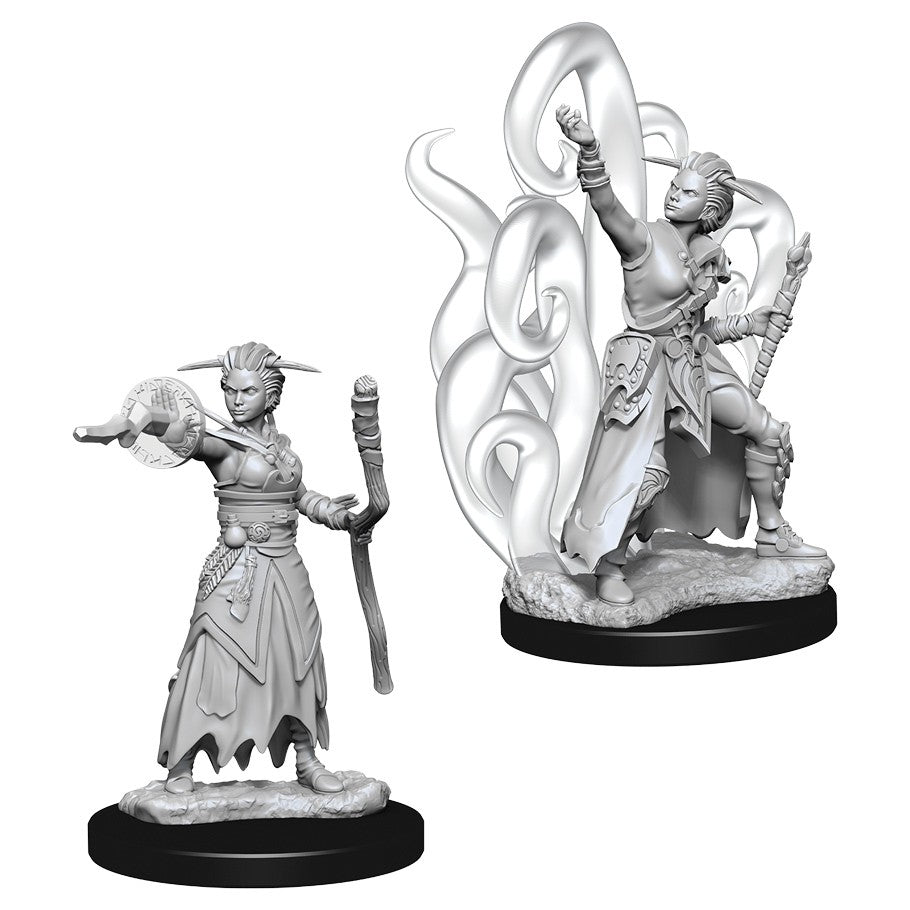 D&D Minis: Wave 10- Female Human Warlock