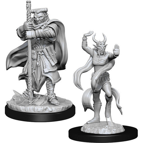 D&D Minis: Wave 13 - Hobgoblin Devastator & Hobgoblin Iron Shadow