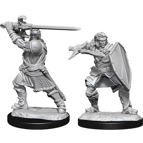 D&D Minis: Wave 14 - Human Paladin Male