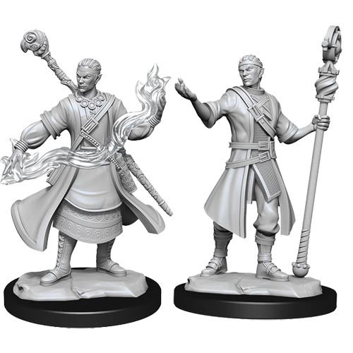 D&D Minis: Wave 14 - Half-Elf Wizard Male