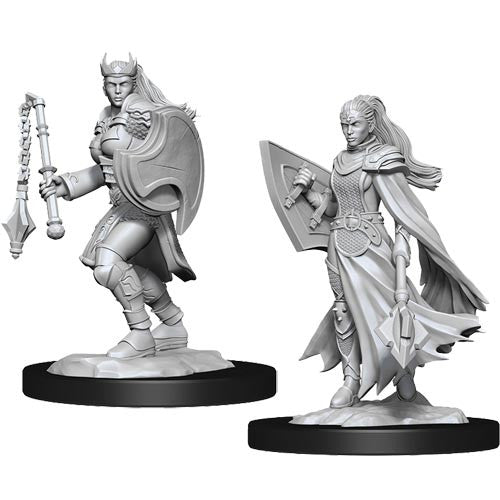 D&D Minis: Wave 14 - Kalashtar Cleric Female