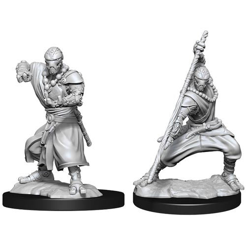 D&D Minis: Wave 14 - Warforged Monk