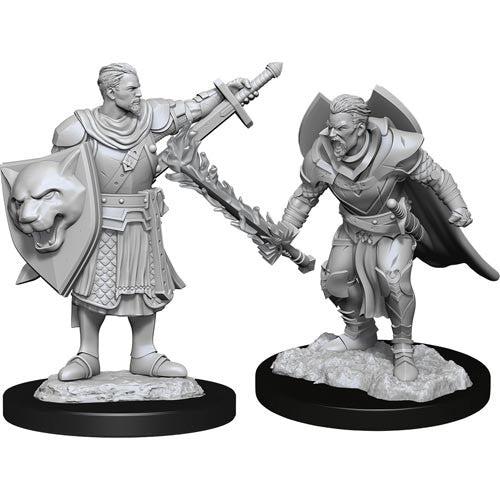 Pathfinder Battles Deep Cuts Unpainted Minis: W14 Male Human Champion