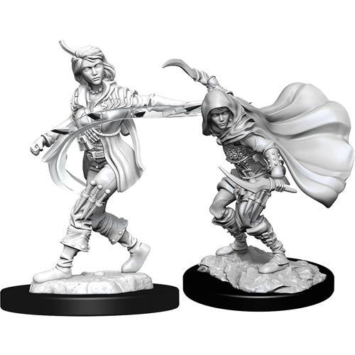 Pathfinder Battles Deep Cuts Unpainted Minis: W14 Female Human Rogue